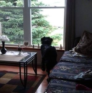 Meet your Posher, Iris